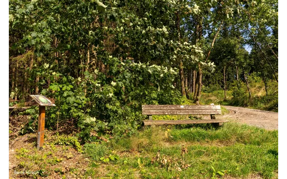 Verweil-Ort Ankommen
