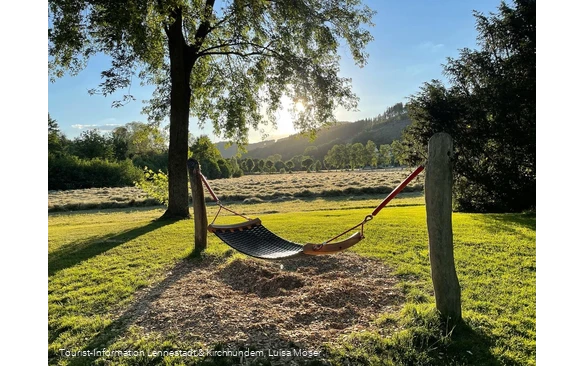 Hängematte TalVITAL