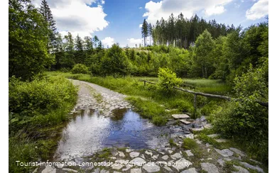 Wasserfurt im Schwarzbachtal