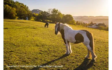 Reiten