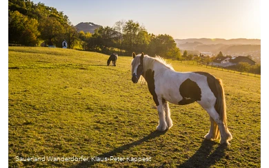 Reiten