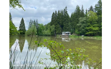Hütte am Dollenbruch