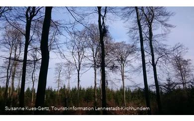 FFH Gebiet Apollmicke-Einsiedelei