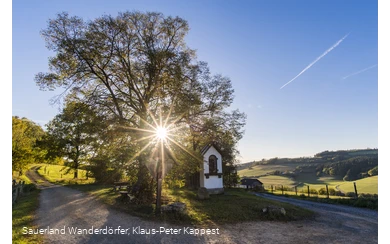 Sauerland Seelenort Lausebuche