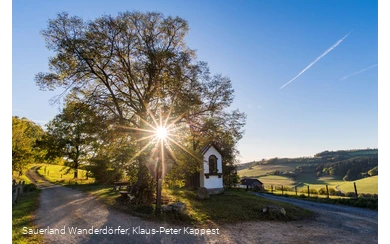 Sauerland Seelenort Lausebuche