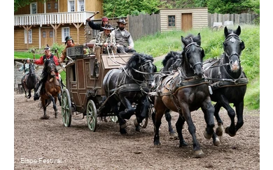 Pferdekutsche