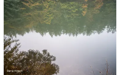 Angeln am Weiher