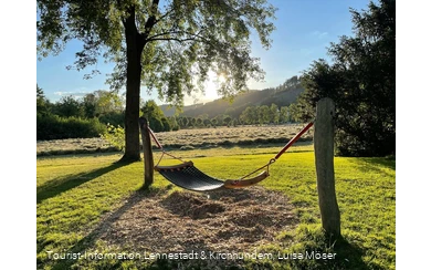 Hängematte TalVITAL