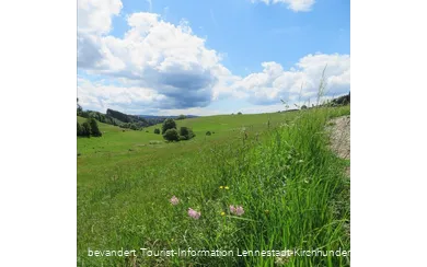Rund um Elspe