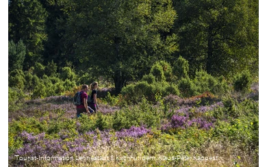 Wandern in der Heinsberger Heide