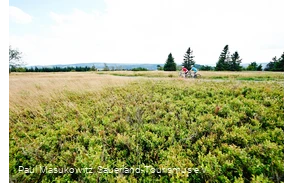 In der Hochheide-Landschaft des Kahlen Astens