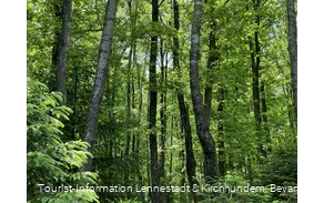 Wald