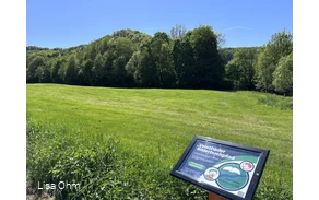 Veischeder Bilderbuchpfad_Wiese