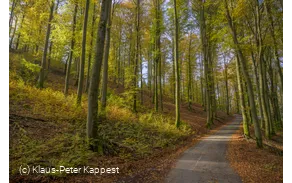 Herbststimmung bei Milchenbach