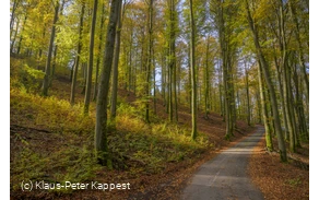 Herbststimmung bei Milchenbach
