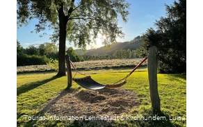 Hängematte TalVITAL