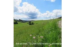 Rund um Elspe