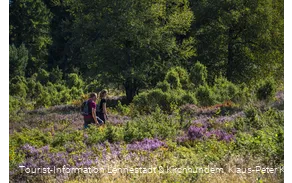 Wandern in der Heinsberger Heide