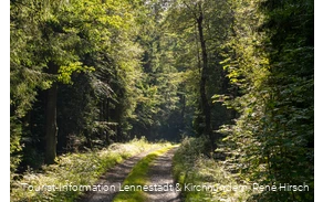 Wanderweg an der Einsiedelei