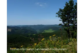 Wanderung Rund um den Härdler
