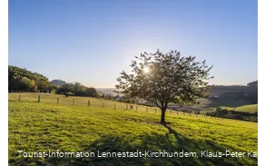 Sauerland-Seelenort Lausebuche