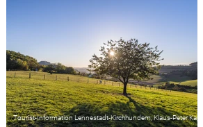 Sauerland-Seelenort Lausebuche
