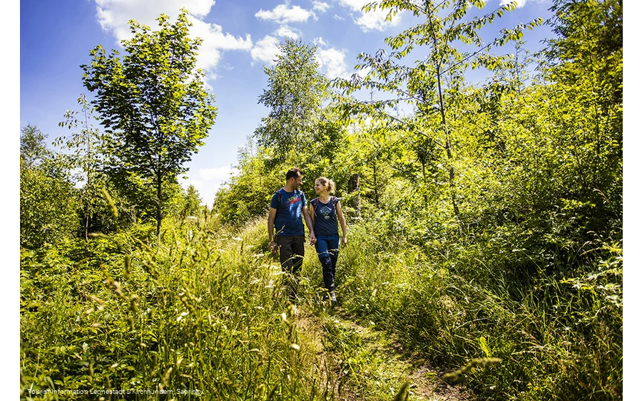 Wanderer auf dem Veischeder Sonnenpfad an der Hohen Bracht