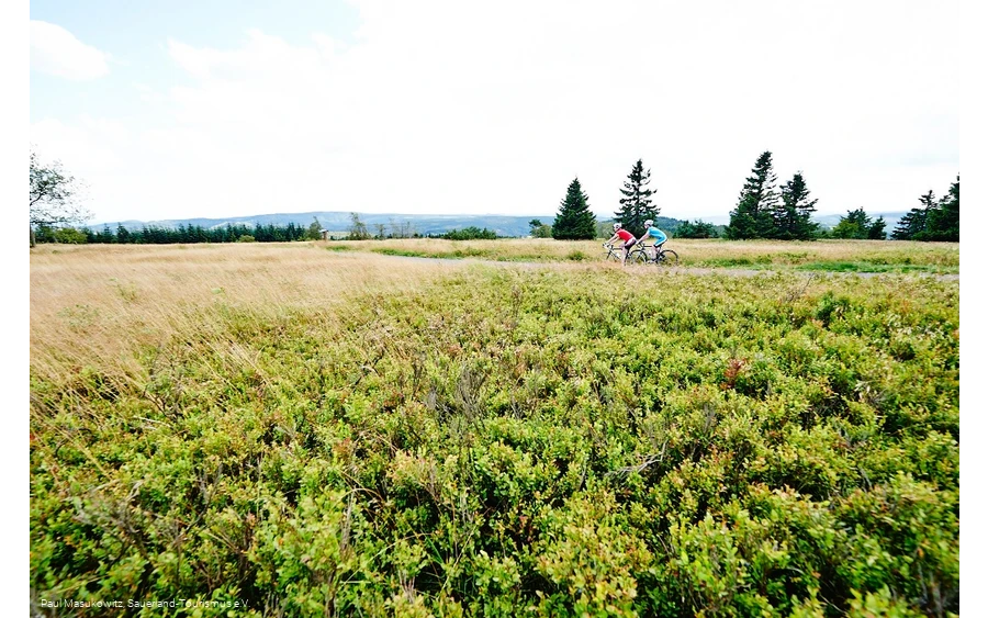 In der Hochheide-Landschaft des Kahlen Astens