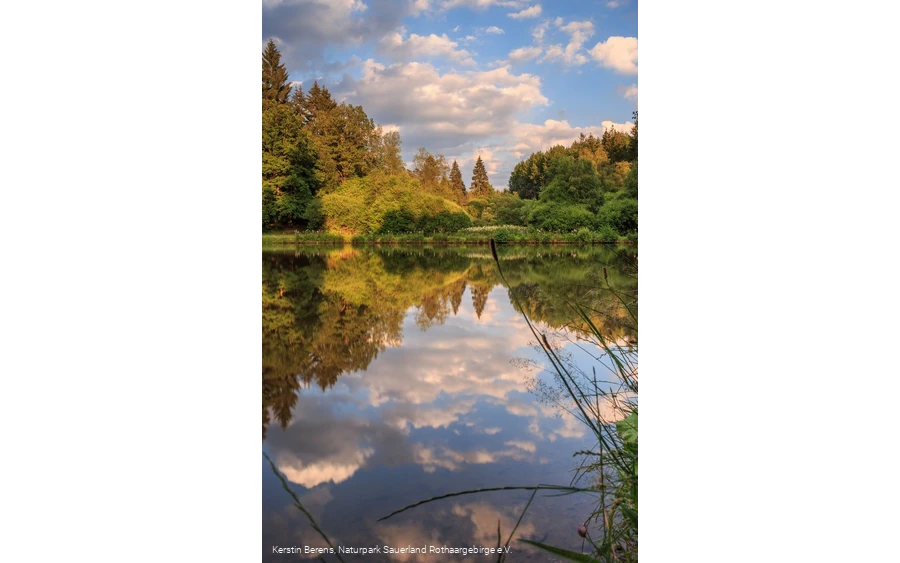 Impressionen des Dollenbrucher Weihers