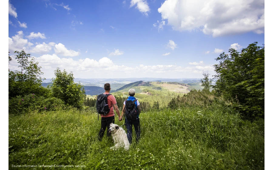 Hohe Bracht Panorama