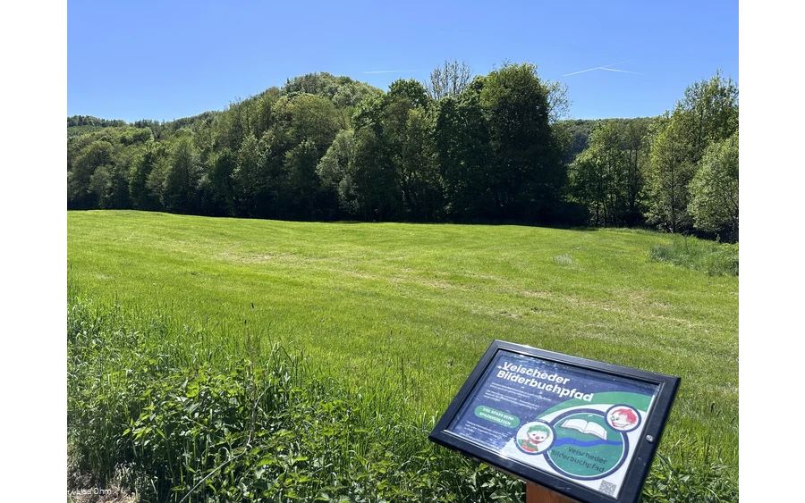Veischeder Bilderbuchpfad_Wiese