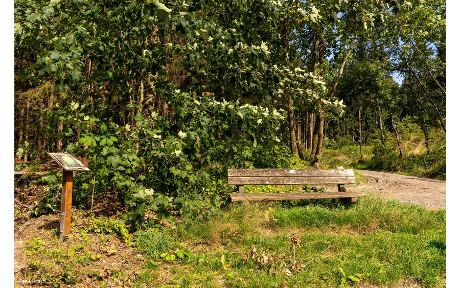 Verweil-Ort Ankommen