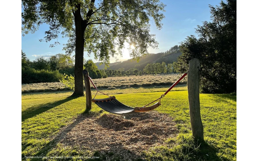 Hängematte TalVITAL