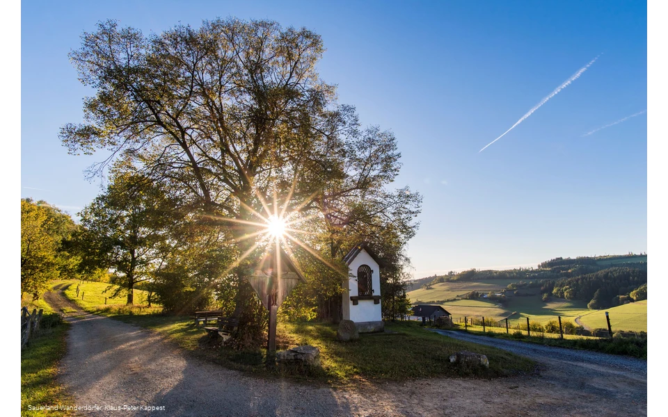 Sauerland Seelenort Lausebuche