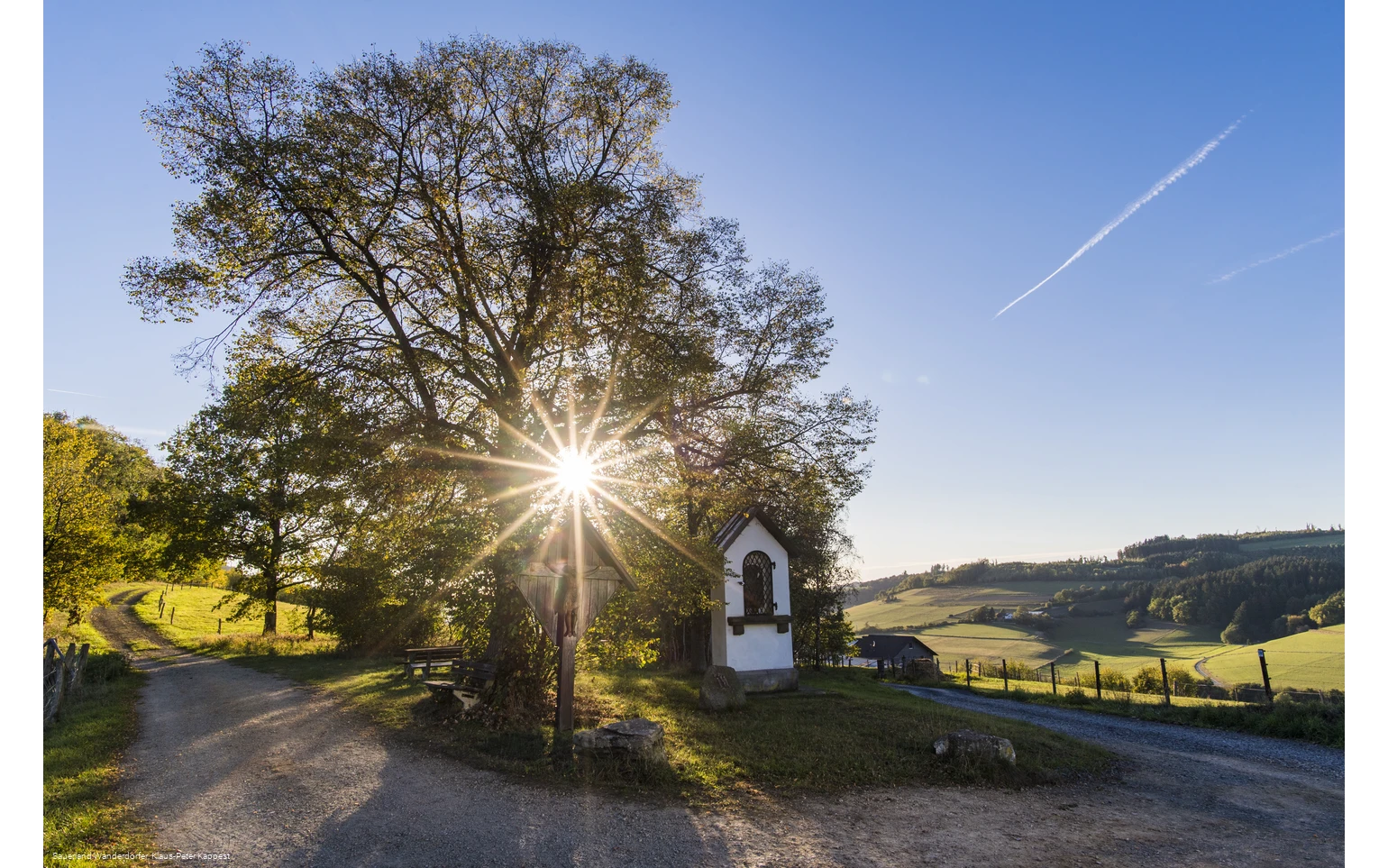 Sauerland Seelenort Lausebuche