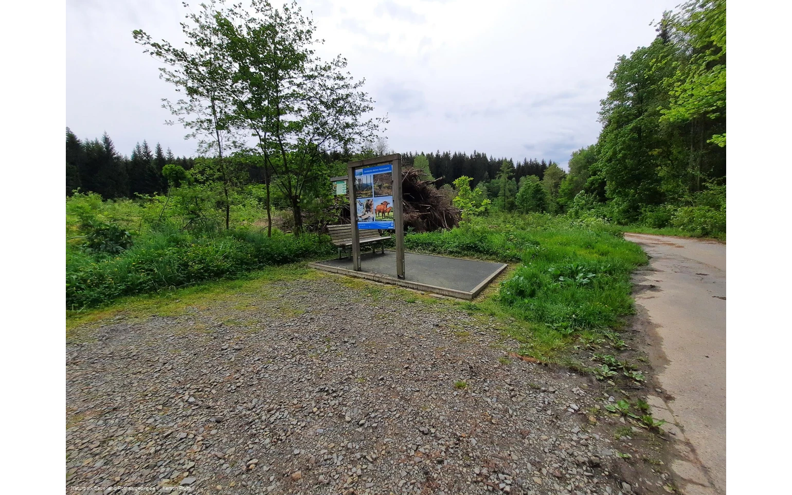 Wanderparkplatz Dollenbruch.jpg
