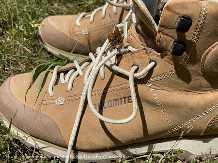 Wanderschuh mit Schmetterling