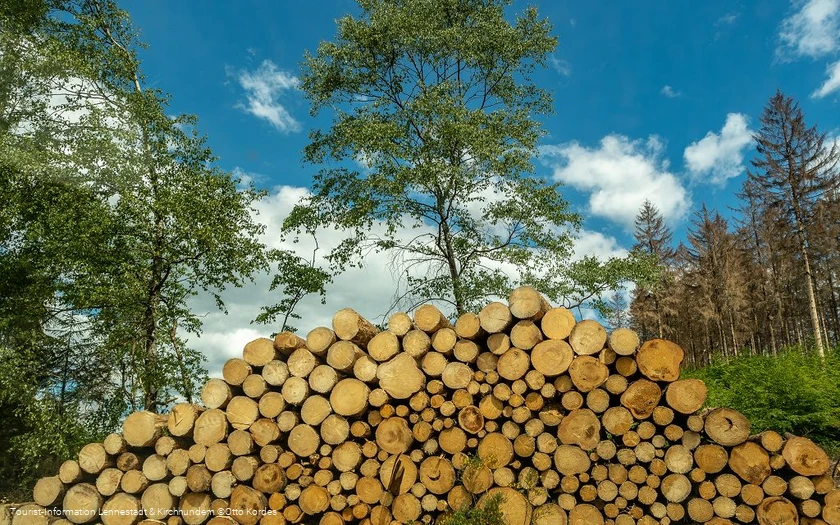 Holzstapel_©Otto Kordes