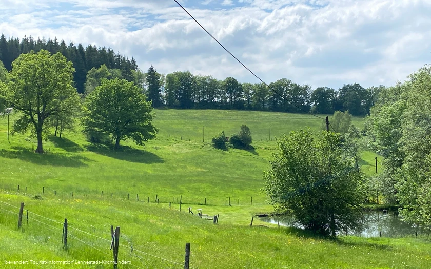 Ausblick von Gut Ahe