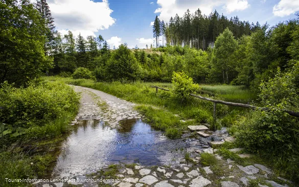 Wasserfurt im Schwarzbachtal