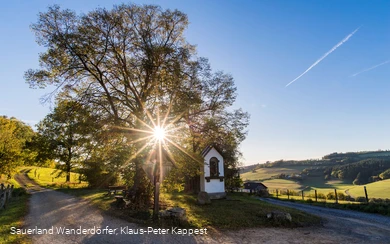 Sauerland Seelenort Lausebuche