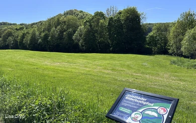 Veischeder Bilderbuchpfad_Wiese