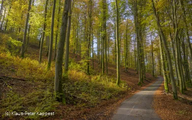 Herbststimmung bei Milchenbach