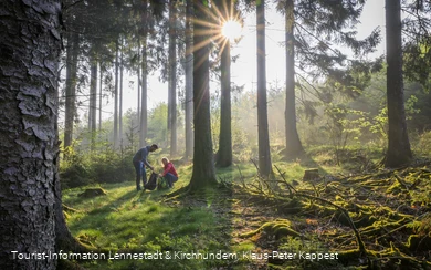 Picknick im Wald
