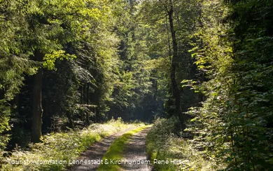 Wanderweg an der Einsiedelei