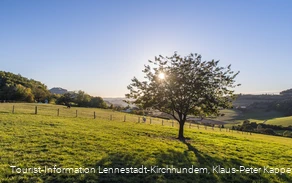 Sauerland-Seelenort Lausebuche