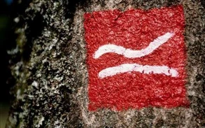 Rothaarsteig Logo Baum