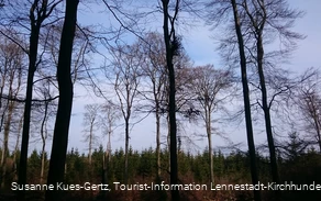 FFH Gebiet Apollmicke-Einsiedelei FFH Gebiet Apollmicke-Einsiedelei