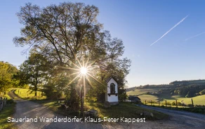 Sauerland Seelenort Lausebuche