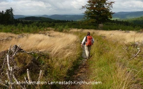 Wanderung Albaumer Klippen